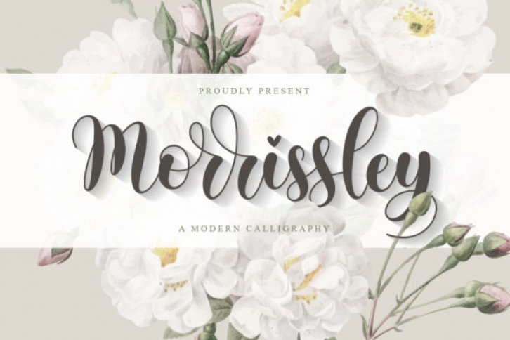 Morrissley Font Download