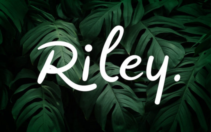 Riley Font Download