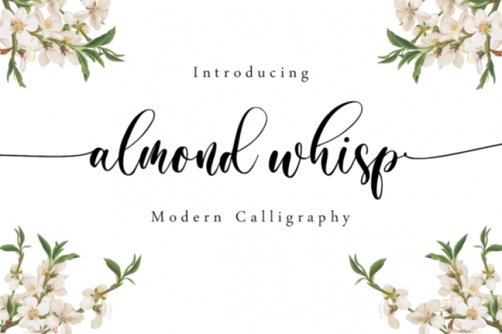 Almond Whisp Font Download