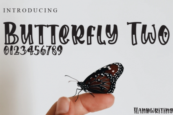 Butterfly Two Font Download