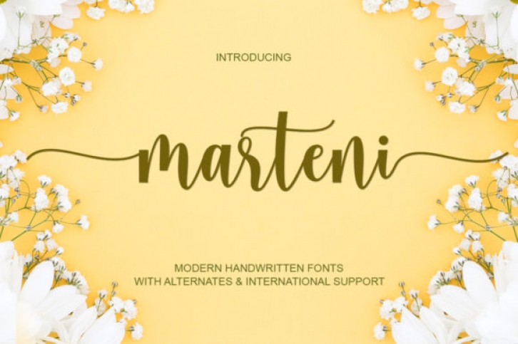 Marteni Font Download