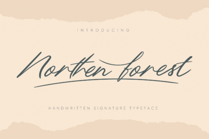 Northern Forest Font Download