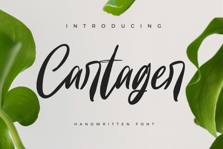 Cartager Font Download