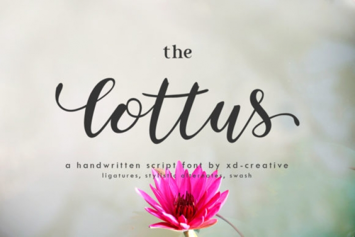 The Lottus Font Download