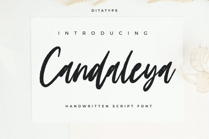 Candaleya - Modern Handwritten Font Font Download