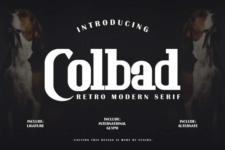 Colbad | Retro Modern Serif Font Download