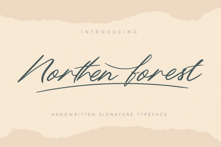 Northern Forest | Handwritten Signature Typeface Font Download