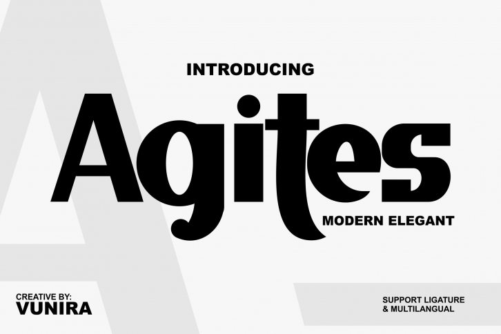 Agites | Modern Elegant Font Download
