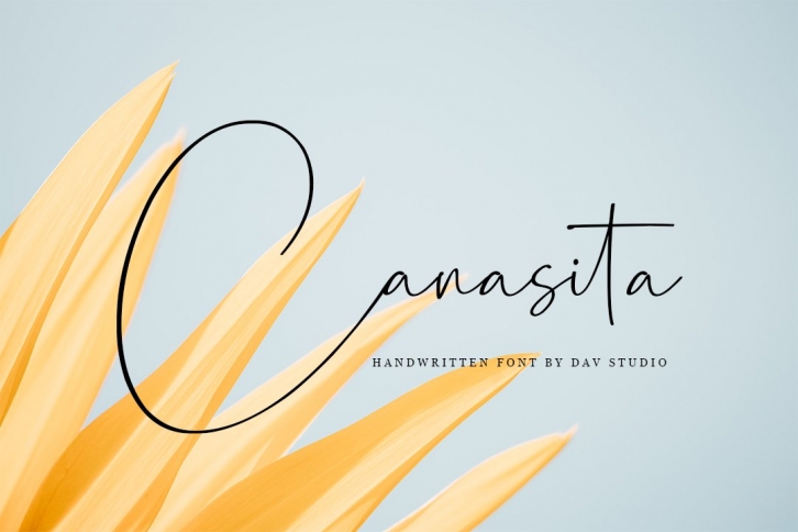 Canasita - Script Handwritten Font Font Download