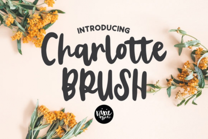 Charlotte Brush Font Download