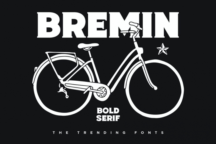 Bremin - Bold Vintage Font Font Download