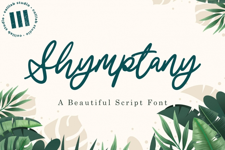 Shymptany - A Beautiful Script Font Font Download