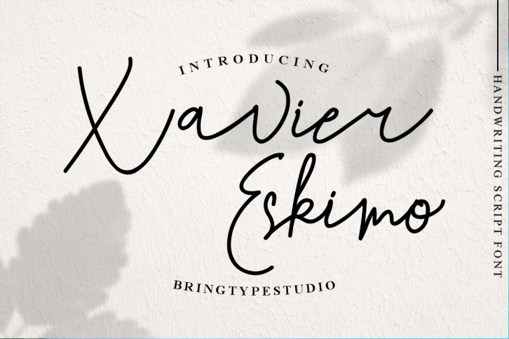 Xavier Eskimo - Handwriting Script Font Download
