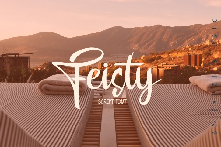 Feisty Font Download
