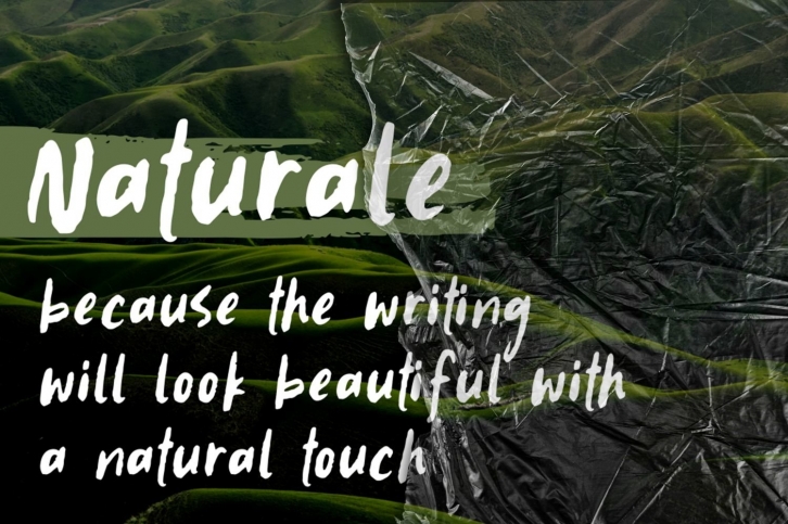 Naturale Font Download