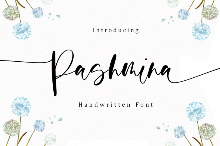 Pashmina - Handwritten Font Font Download