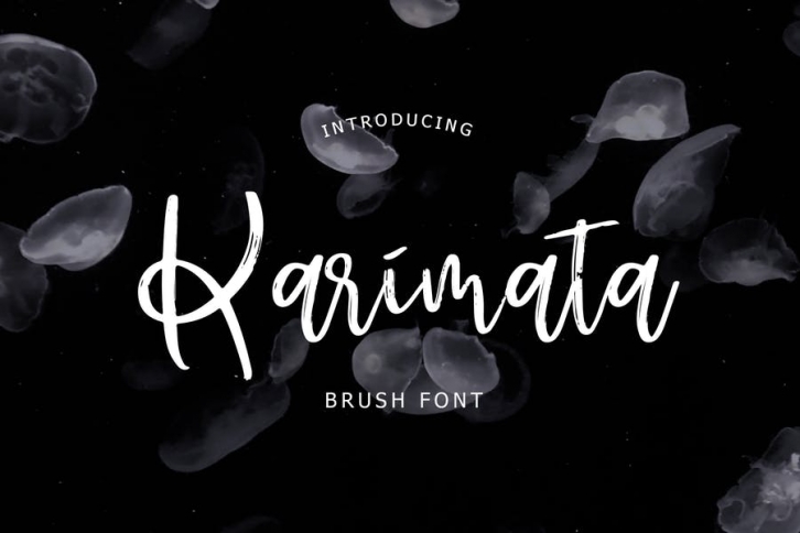 Karimata Brush Script Font Font Download