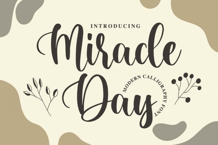 Miracle Day - Modern Calligraphy Font Font Download