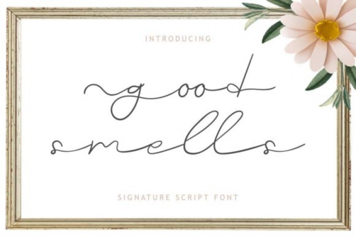 Good Smells Font Download