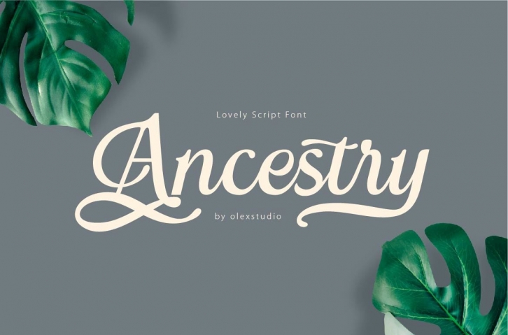 ANCESTRY script Font Download