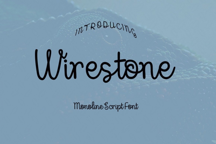 Wirestone Font Font Download