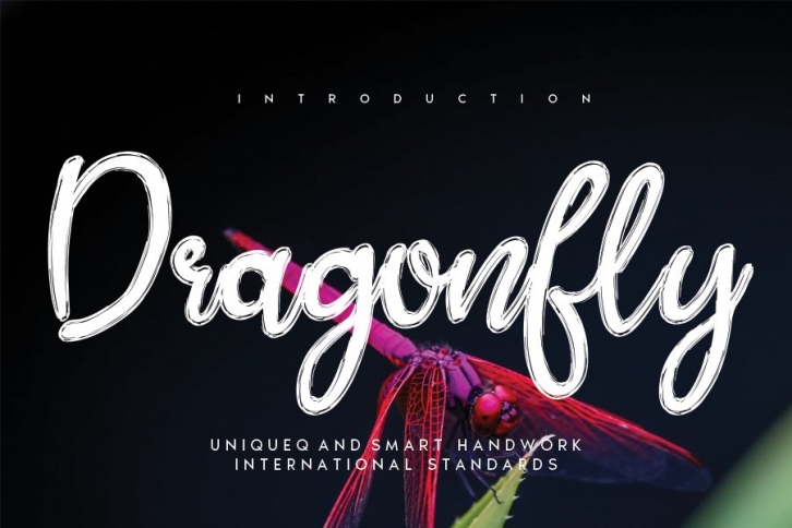 Dragonfly Font Download