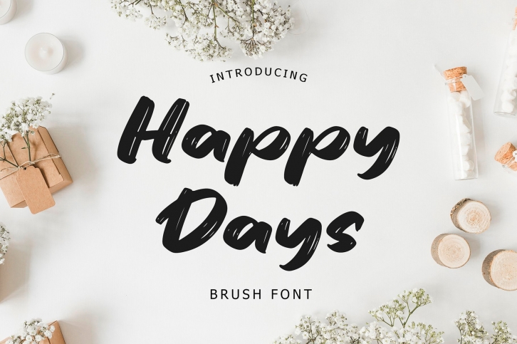Happy Days Brush Display Font Font Download