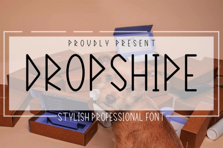 Dropshipe Font Download