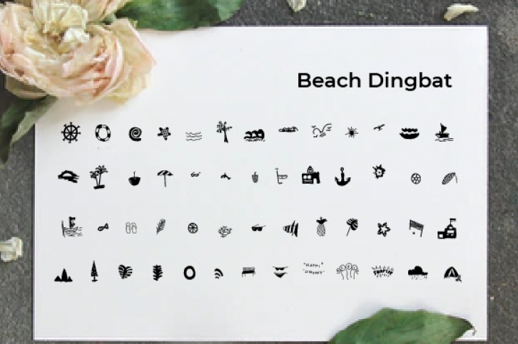 Beach Font Download