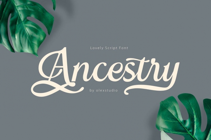 ANCESTRY - Retro Script Font Download