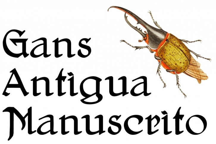 Gans Antigua Manuscrito Font Download