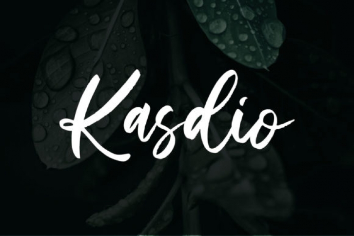 Kasdio Font Download