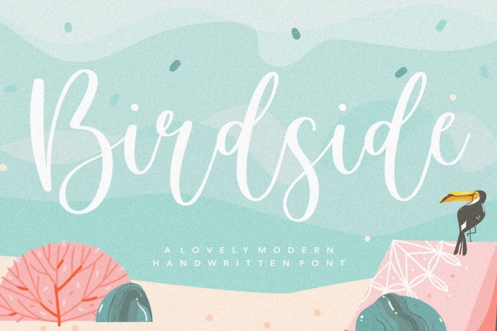 Birdside YH - Wedding Script Font Font Download