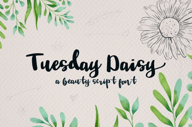 Tuesday Daisy - a beauty script font Font Download