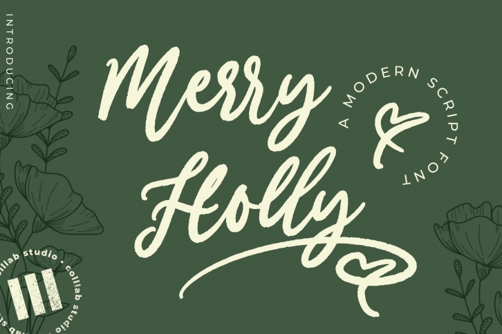 Merry Holly - A Modern Script Font Font Download