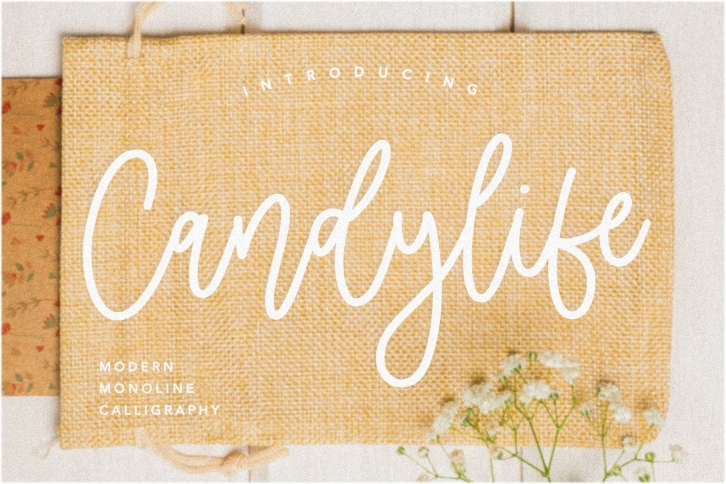 Candylife Modern Monoline Calligraphy Font Font Download