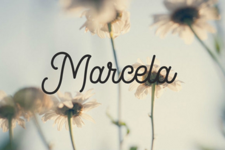 Marcela Font Download