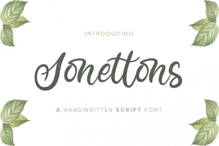 Sonettons Handwritten Script Font Download
