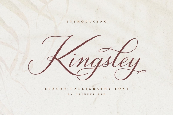 Kingsley Calligraphy Font Font Download