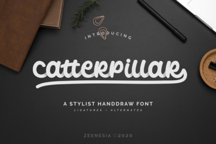 Catterpillar Font Download