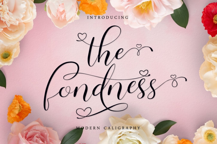 the fondness - modern caligraphy Font Download