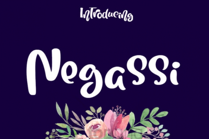 Negassi Font Download