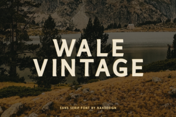 Wale Vintage Font Download