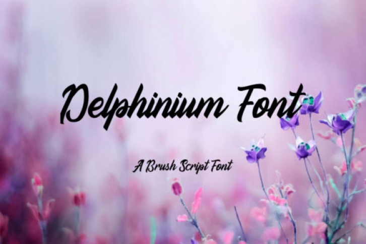 Delphinium Font Download