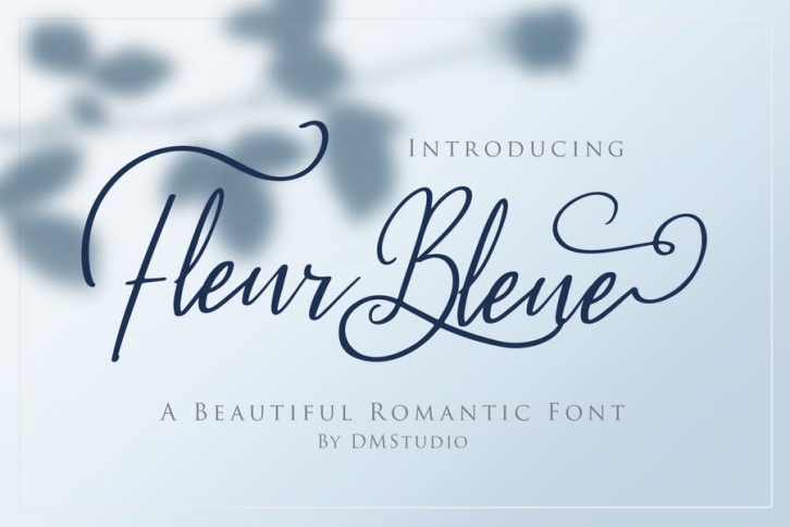 Fleur Bleue - Beautiful Romantic Font Font Download