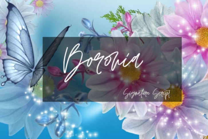 Boronia Font Download