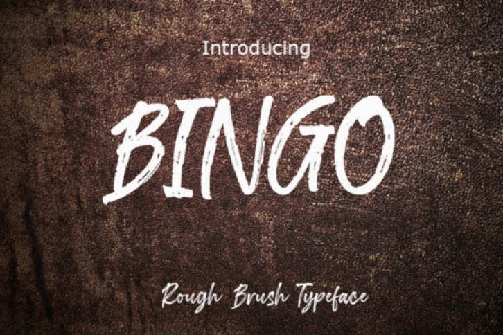 Bingo Font Download
