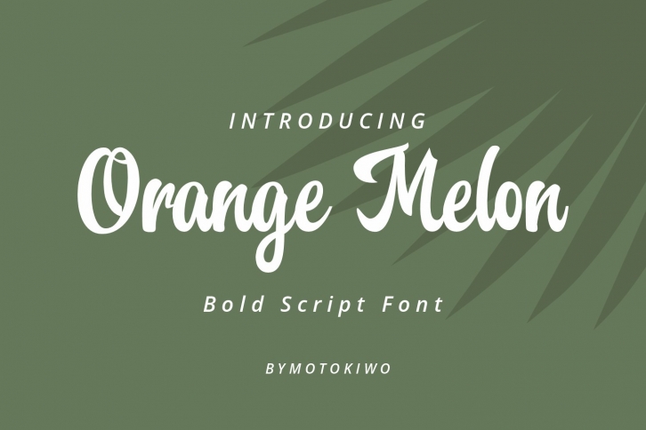 Orange Melon Script Font Font Download