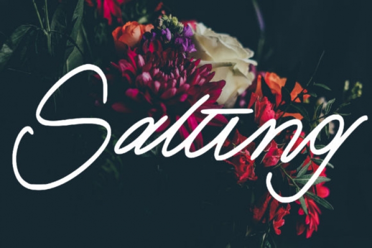 Salting Font Download