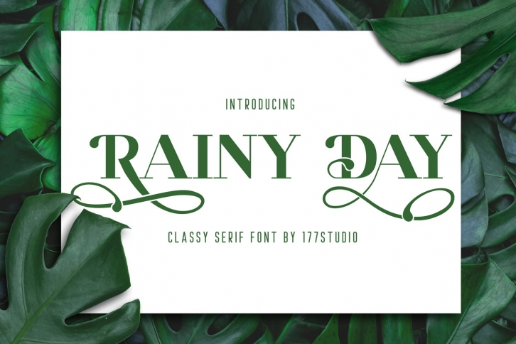 RAINY DAY Serif Font Font Download